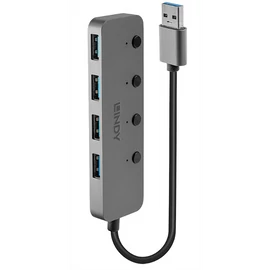 LINDY HUB USB 3.2 Gen1, kapcsolható, 4 port