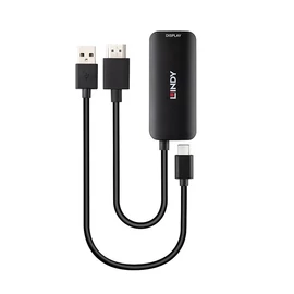 LINDY Konverter HDMI - USB-C, USB tápellátással, fekete