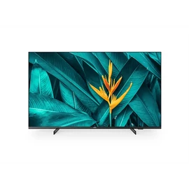PHILIPS Hotel 4K TV 50", 50HFL5214U/12 3840x2160, 350 cd/m2, HDMI/USB