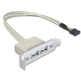 DeLock Slot konzol USB 2.0 low profile 2 port bővítőkártya