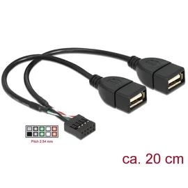 DeLock USB Cable Pin header female > 2 x USB 2.0 type-A female 20cm bővítőkártya