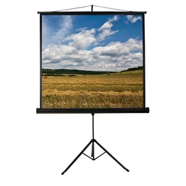 Funscreen Tripod 240x240 cm Format 1:1 vetítővászon