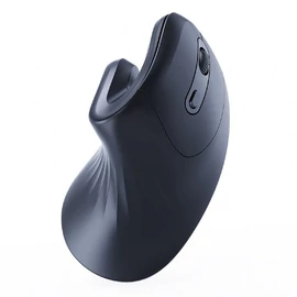 Gembird MUSW-ERGO-03 Mouse Black egér
