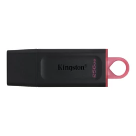 Kingston 256GB DataTraveler Exodia Black/Pink pendrive
