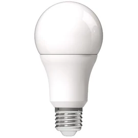 LED izzó, E27, gömb, A60, 13W, 1521lm, 6400K, AVIDE