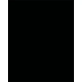 Dekorkarton, 2 oldalas, 50x70cm, 220 g, 10 lap, FOLIA, fekete