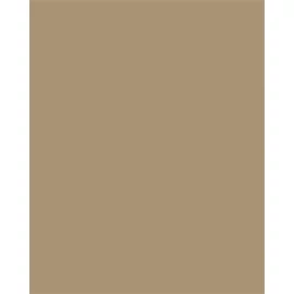 Dekorkarton, 2 oldalas, 50x70cm, 220 g, 10 lap, FOLIA, őzbarna