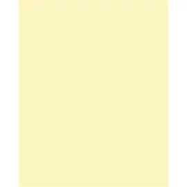 Dekorkarton, 2 oldalas, 50x70cm, 220 g, 10 lap, FOLIA, szalmasárga