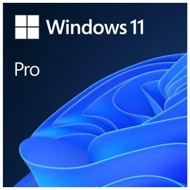 Win 11 Pro 64Bit Eng Intl 1pk DSP OEI DVD