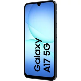 Samsung SM-A175F/ DS Black / A17 LTE DualSIM / 128GB