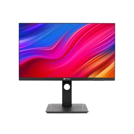 AG Neovo DW2401 számítógép monitor 60,5 cm (23.8") 2560 x 1440 pixelek Wide Quad HD LED Fekete