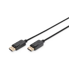 DISPLAYPORT CONNECTION CABLE DP