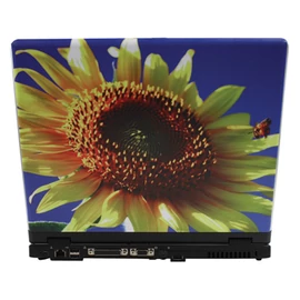 Notebook matrica, 17"-ig, napraforgó