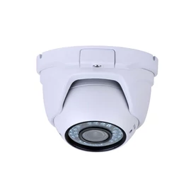 WS-N434DMVF-P IP Dome kamera, kültéri, 4MP, 2,8-12mm, D&N(ICR), IR20m, BLC, DWDR, 3DNR, IP66, SD
