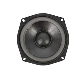 HSP 001 - 5" / 130 mm • 60 / 100 W - 8 ohm 30752 mélysugárzó