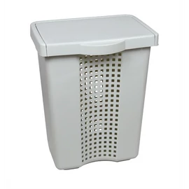 FLAIR 80100 LINETTE 60L világosszürke szennyestartó