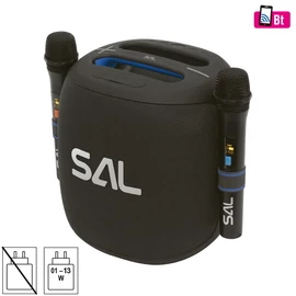 SAL PARCUBE boombox, 100 W, 2db vezeték nélküli mikrofon, 5db hangszóró, LED fényeffekt, IPX5 védelem, Bluetooth