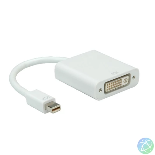 ROLINE Adapter Mini DisplayPort DP - DVI, 2K@60Hz, M/F, fehér