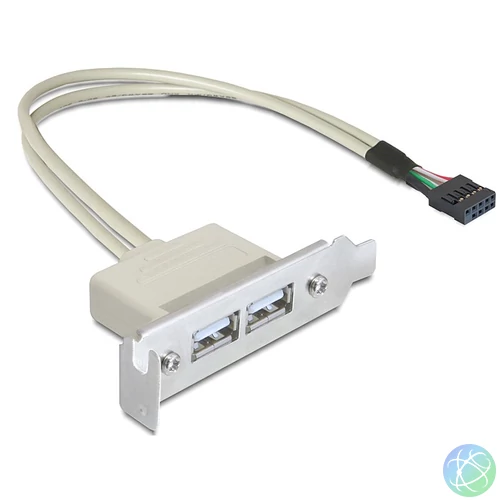 DeLock Slot konzol USB 2.0 low profile 2 port bővítőkártya
