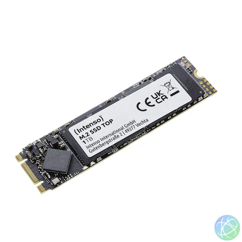 Intenso 1TB M.2 2280 Top SSD
