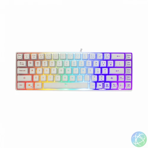 White Shark Ronin RGB Gaming keyboard White US billentyűzet
