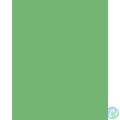 Dekorkarton, 2 oldalas, 50x70cm, 220 g, 10 lap, FOLIA, smaragdzöld