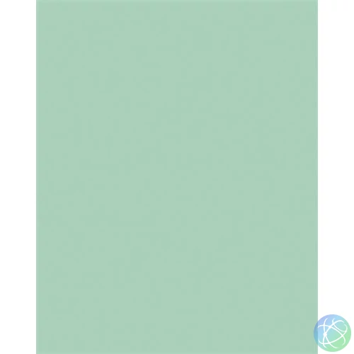 Dekorkarton, 2 oldalas, 50x70cm, 220 g, 10 lap, FOLIA, menta