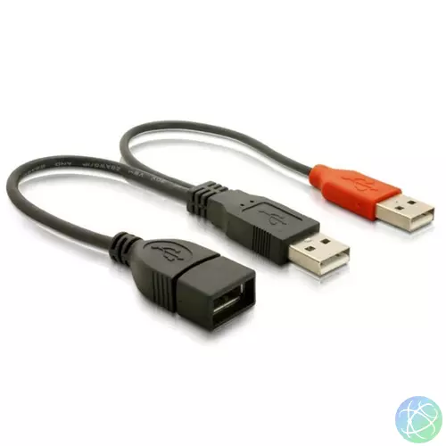 Delock USB adat- és hálózati kábel