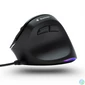 Kép 2/3 - Bluestork Egér - M-W-ERGO-LUMI (Ergonomic, 3600 DPI, 6 gomb, optikai, RGB, fekete)