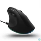 Kép 3/3 - Bluestork Egér - M-W-ERGO-LUMI (Ergonomic, 3600 DPI, 6 gomb, optikai, RGB, fekete)