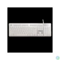 Kép 1/3 - WHITE SHARK  TACHI-W/US WS GK-003241W-US vezetékes membrán gamer billentyűzet, 104 gomb fehér (angol)