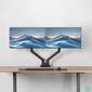 Kép 3/16 - ACT AC8342 Dual Monitor Arm Office Premium with Gas Spring