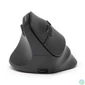 Kép 1/3 - Bluestork M-WL-ERGO-LUMI-L Wireless Mouse Black egér