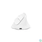Kép 1/5 - Bluestork M-WL-ERGO-LUMI-W Wireless Mouse White egér