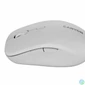 Kép 5/6 - Canyon MW-12 Dual Band Wireless Mouse Grey egér