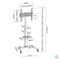 Kép 4/4 - EQuip 32"-55" Universal TV Cart