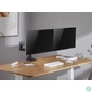 Kép 7/9 - EQuip 17"-35" Heavy-Duty Dual Monitor Desk Mount Bracket Black