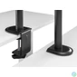 Kép 8/9 - EQuip 17"-32" Articulating Dual Monitor Desk Mount Bracket Black