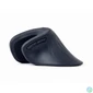 Kép 4/7 - Gembird MUSW-ERGO-03 Mouse Black egér