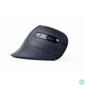 Kép 5/7 - Gembird MUSW-ERGO-03 Mouse Black egér