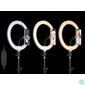 Kép 3/5 - Tracer LED Ring Lamp (diameter 30cm) with 210cm tripod