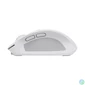 Kép 4/5 - Trust Ozaa Compact Multi-Device Wireless Mouse White egér