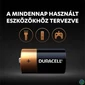 Kép 2/4 - Elem, C baby, 2 db, DURACELL "Basic"