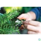 Kép 4/7 - Fűszervágó olló, FISKARS "Solid™ SP220"