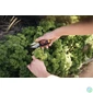 Kép 6/7 - Fűszervágó olló, FISKARS "Solid™ SP220"