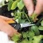Kép 6/7 - Metszőolló, micro-tip, FISKARS "Solid™ SP13"