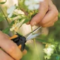 Kép 7/7 - Metszőolló, micro-tip, FISKARS "Solid™ SP13"