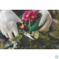 Kép 4/5 - Metszőolló, hegyes, FISKARS "Solid™ SP15"