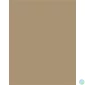 Kép 2/2 - Dekorkarton, 2 oldalas, 50x70 cm, 300 g, 10 lap, FOLIA, őzbarna