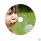 Kép 3/3 - DVD-R lemez, nyomtatható, matt, ID, 4,7GB, 16x, 25 db, hengeren, VERBATIM